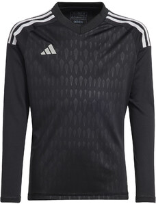 Dres s dlouhým rukávem adidas T23 C GK JSY LY hk7691