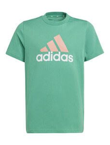 Dětské tričko Big Logo 2 Tee Jr IB8776 - Adidas