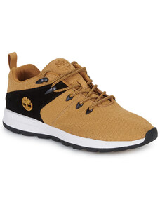 Timberland Tenisky SPRINT TREKR LOW KNIT >