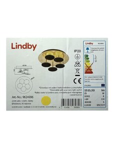 Lindby Lindby - LED Stmívatelné stropní svítidlo CASNI 5xLED/5W/230V LW0530