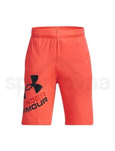 Under Armour Prototype 2.0 ogo Shorts