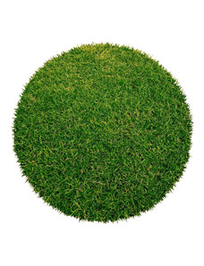 Aladin Holland carpets Umělá tráva Botanic kruh - 200x200 (průměr) kruh cm