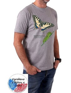 Pánské tričko Jožánek s motýlem - otakárek fenyklový