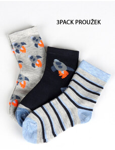 Ponožky chlapecké Evona 7048 3PACK