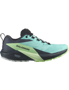 Trailové boty Salomon SENSE RIDE 5 GTX W l47216000