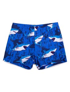 Yoclub Kids's Boys' Swimming Shorts LKS-0059C-A100