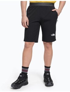 The North Face Men’s Ao Woven Short -Eu Black