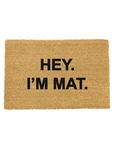 Rohož Artsy Doormats Quirky Collection Quirky Collection
