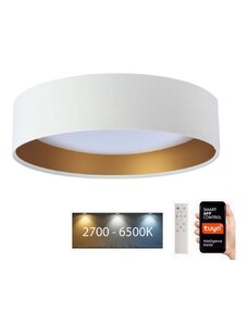BPS Koncept LED Stropní svítidlo SMART GALAXY LED/24W/230V Wi-Fi Tuya bílá/zlatá + DO BS0509