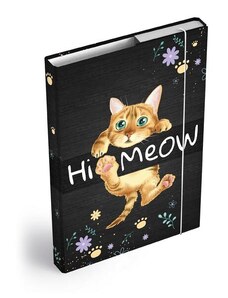 Šanon / desky s kreslenou kočkou