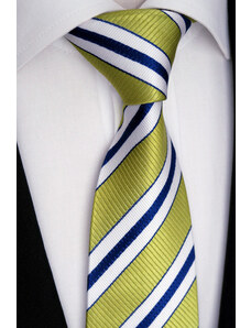 Zelenomodrobílá kravata Beytnur 49-6