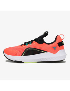 Under Armour UA Project Rock BSR 3