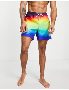 American Eagle swim shorts in rainbow gradient-Purple