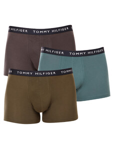 3PACK pánské boxerky Tommy Hilfiger vícebarevné (UM0UM02203 0XX)