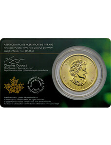Royal Canadian Mint Maple Leaf Zlatá mince 50 CAD stand 1 oz