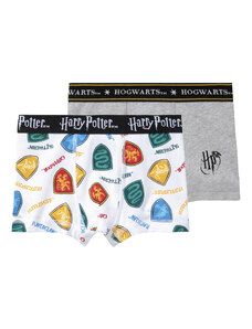 Chlapecké boxerky Harry Potter2 kusy