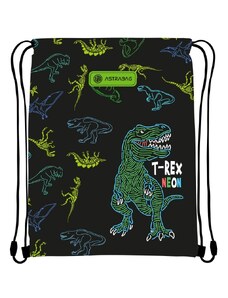 Stahovací vak ASTRABAG T-REX NEON, AD1