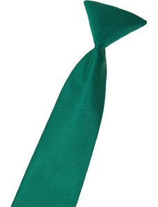 Chlapecká kravata Avantgard - zelená 558-7987-0
