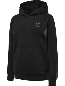 Mikina s kapucí Hummel HMLACTIVE CO HOODIE KIDS 221888-2001