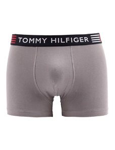 Tommy Hilfiger Flex Trunk