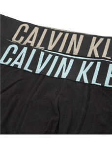 Pánské boxerky 2pack NB2602A 6HF černá - Calvin Klein