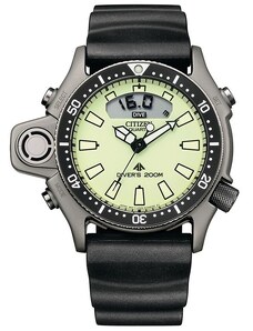 Pánské hodinky Citizen JP2007-17W