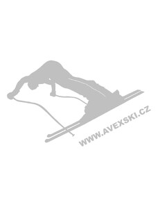 AVEX SPORT Lyžař 5 samolepka / 9 x 5,4 cm / stříbrná