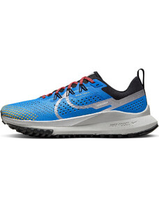 Trailové boty Nike Pegasus Trail 4 dj6159-401