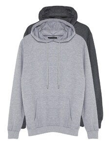 Trendyol Gray 2 Pack Regular/Normal Fit Basic Hooded Sweatshirt