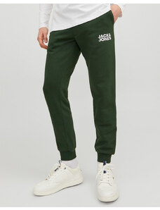 JACK&JONES JJIGORDON JJNEWSOFT SWEAT PANT GMS NOOS