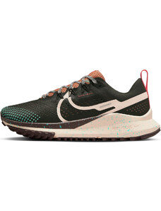 Trailové boty Nike Pegasus Trail 4 dj6159-300