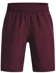 Šortky Under Armour UA Woven Graphic Shorts-MRN 1370178-600