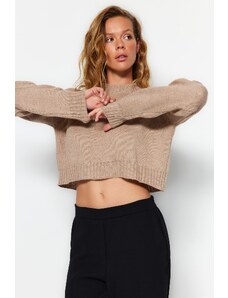 Trendyol Camel Crop Crew Neck Knitwear Sweater