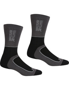 Pánské ponožky Samaris šedé model 18684590 - Regatta