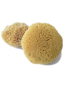 Mycí houba pacifická Caribbean Sun 11-12 cm s provázkem (SLY352P)