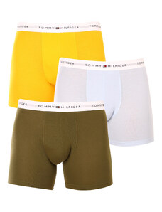 3PACK pánské boxerky Tommy Hilfiger vícebarevné (UM0UM02941 0W8)