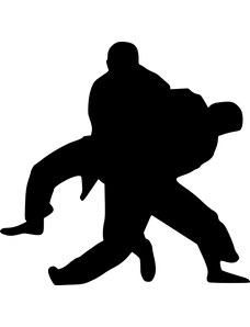 Gravon Samolepka - Judo zápasníci