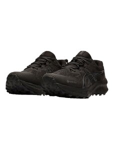 Pánská běžecká obuv Asics GEL-Trabuco 11 GTX černá velikost 42