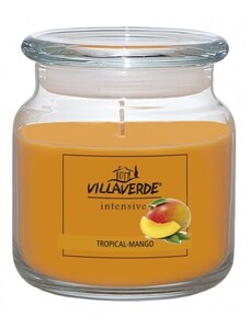 Villaverde s víčkem - Tropické mango, 770g