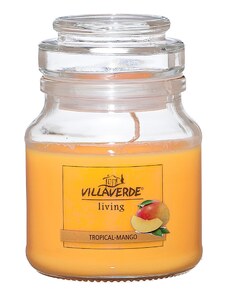 Villaverde s víčkem - Tropické mango, 320g