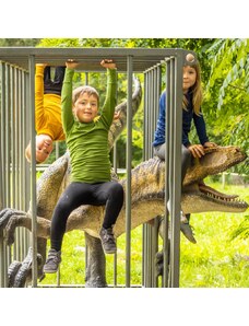 Tarua Dětské merino tričko s dlouhým rukávem - mechová s dinosaurem