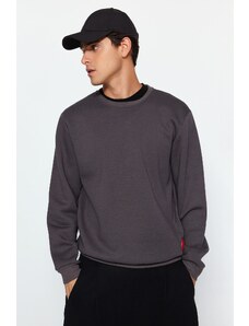 Trendyol Anthracite Regular/Normal Fit Silicone Label Detail Fleece Inside Sweatshirt