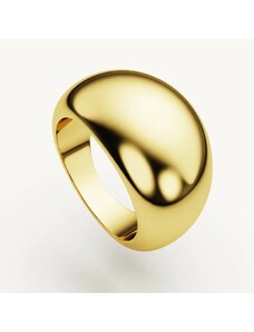 SilveAmo Pozlacený prsten Aria obvod 57