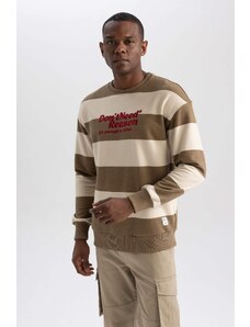 DEFACTO Boxy Fit Long Sleeve Sweatshirt