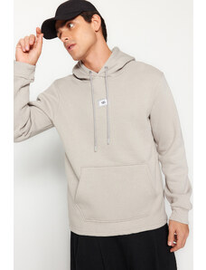 Trendyol Gray Regular/Regular Fit Hooded Long Sleeve Sweatshirt