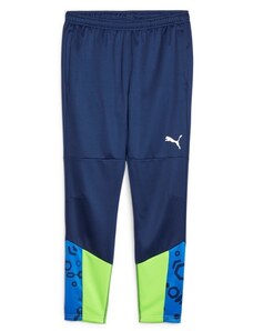 Kalhoty Puma individualCUP Training Pant 658487-54