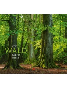 Ackermann Kunstverlag Nástěnný kalendář Les / Wald Kalender 2024 24AC2422