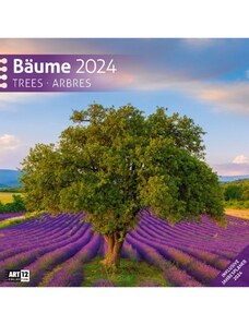 Ackermann Kunstverlag Nástěnný kalendář Stromy / Bäume Kalender 2024 24AC4412