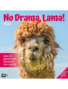 Ackermann Kunstverlag Nástěnný kalendář Žádné drama, Lama! / No Drama, Lama! Kalender 2024 24AC4427