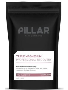 Vitamíny a minerály Pillar Performance Triple Magnesium Professional Recovery Powder Berry (200g) POUCH eu-tmpr200p-p